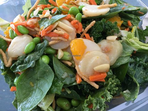 Custom Asian Salad at Lakeside Cafe in Orlando