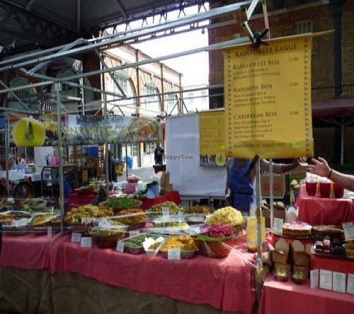  at Rainforest Creations in South East London