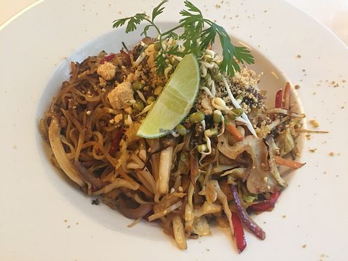 Thai noodle dish. A bit salty for my liking.  at Napfényes Restaurant & Confectionery in Budapest