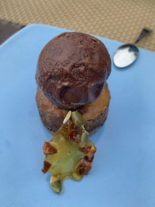 pretty gingerbread and chocolate sorbet desert  at Alchemy in Koh Samui