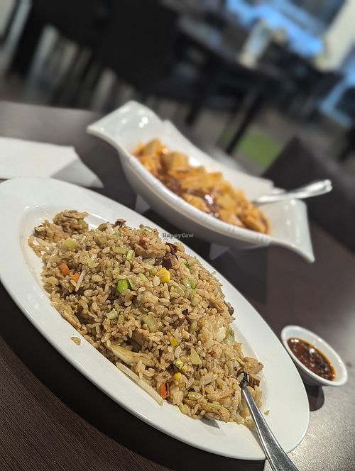 Mapo tofu and salted fish and chicken fried rice at Formosa Garden in East Perth