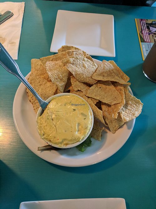 Creamy Artichoke dip at Counter Culture in Austin