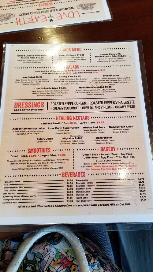 Menu at Love Earth in Staten Island