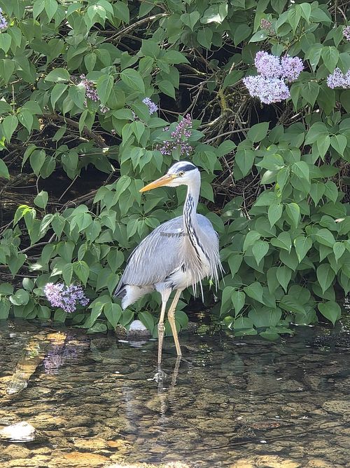  at Beck Hall in Malham