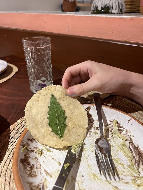 So fresh  at Na Tlali in Mexico City