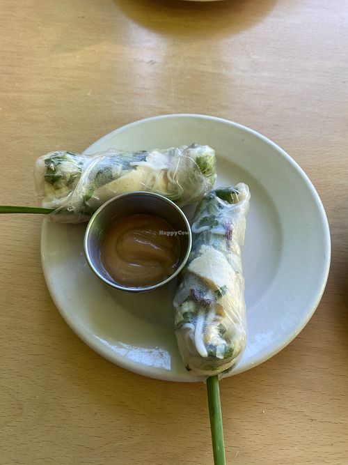 Vegetable summer roll at The Rolling Spring Roll in Farmingdale