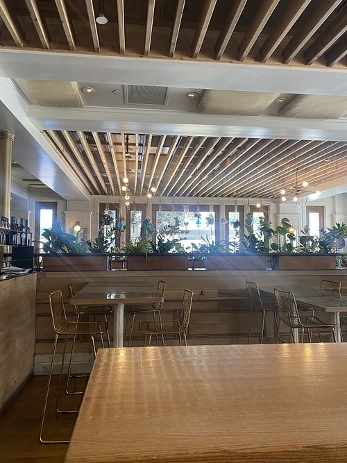 Indoor Seating Area (in front of bar)  at Wildseed in San Francisco