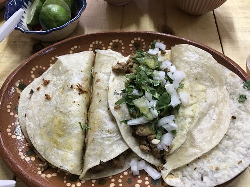 Gringas  at Mexico Veggie in San Luis Potosi