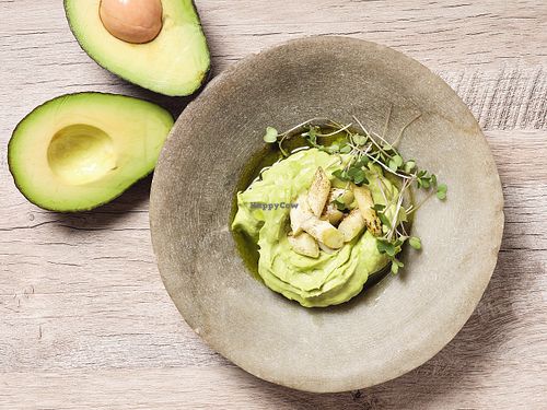 Avocado . coriander . homegrown herbs at Tendril in London