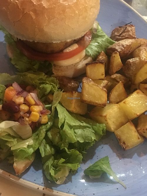 Green burger (made with tofu) with salad and potatoes  at Old Wild West in Cremona