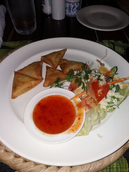 Vegetable samosa w/ sweet chili and salad at White Grass Ocean Resort in Lenakel