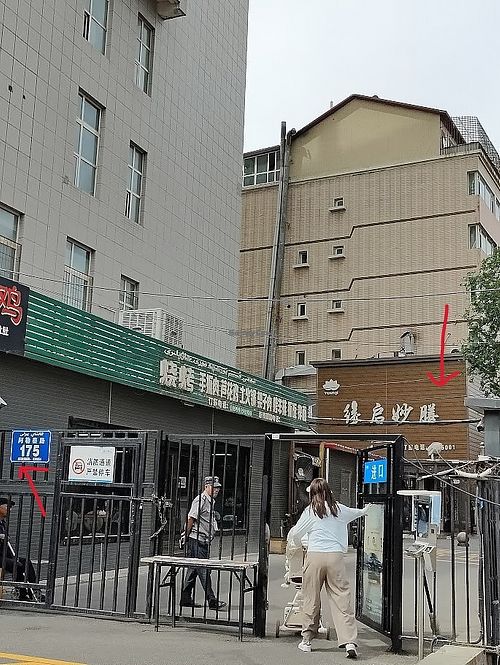 Street view. Unit 175 of Aletai Rd. You have go through the security gate. 
address in Chinese 乌鲁木齐市沙依巴克区阿勒泰路175号嘉和二期4号楼 at Yuanqi Vegetarian - 缘启妙膳 in Urumqi