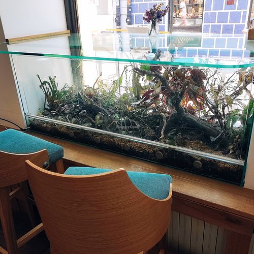  at Oaza Joyful Kitchen in Zagreb