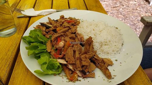 Plato Jungle at Rawfood in La Serena