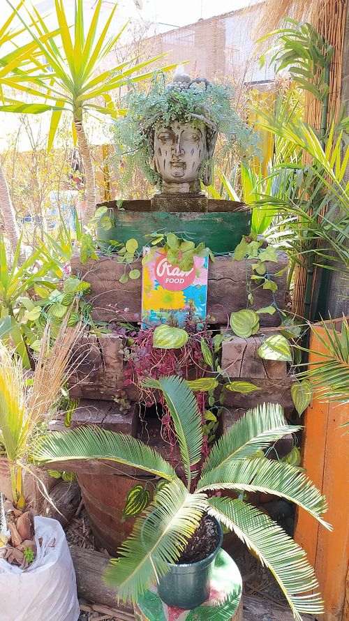 Entrada at Rawfood in La Serena