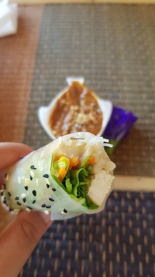 Spring rolls were aaaaammmaaazing at Rakpak in Koh Samui