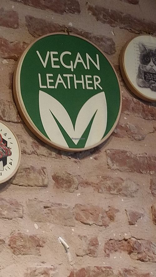 Vegan trainers at Goby in Istanbul