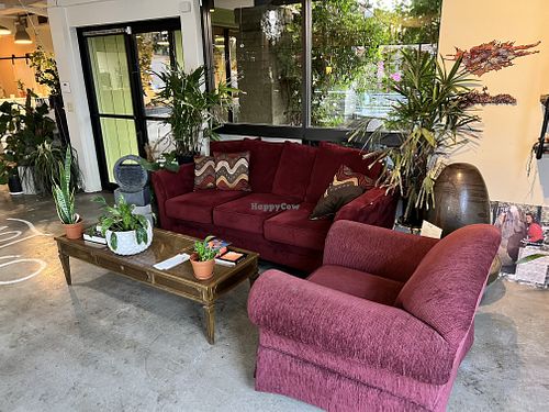   at Giving Tree Cafe in Phoenix