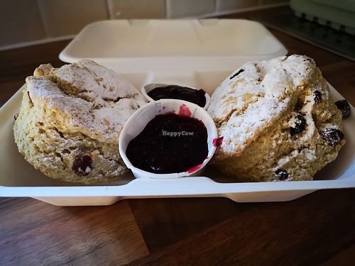 Monster scones with home made jam! at Green Olive in Menai Bridge