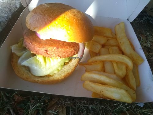 Beyond meat burger (without cheese) for 13,95euros at Tommy's Diner in Labege