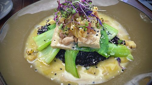 Macadamia Crusted Tofu coconut black rice, bok choy, Passion fruit butter sauce, pineapple salsa   at Pacific Coast Grill in Cardiff