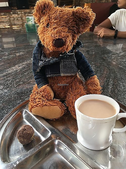 Tea Hut at Sadhana Forest at Tea Hut at Sadhana Forest in Auroville