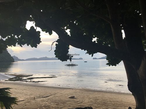 view at Maremegmeg Beach Bar in El Nido