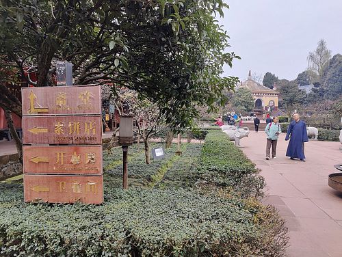  at Wannian Temple 万年寺 in Emeishan