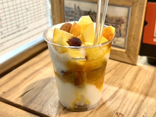   at Officina del Gelato in Urbino