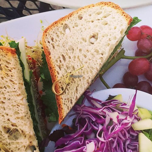 Glutenfree avocado & veggie sandwich with vegan cheese and roasted peppers at Natural Sisters Cafe in Joshua Tree