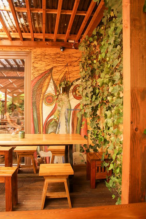 garden  at Vegan House - Alaunstraße in Dresden