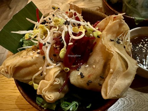 wan tan #Veganuary at Vegan House - Alaunstraße in Dresden