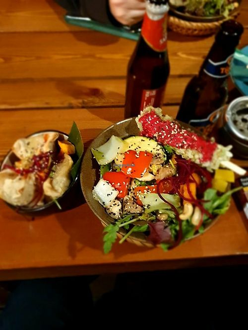 Vegan Bowl & Wantan at Vegan House - Alaunstraße in Dresden