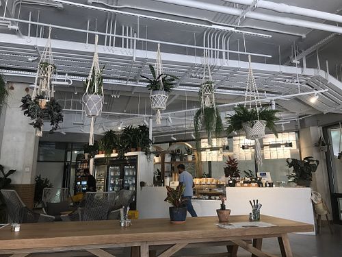Cute space at Wild & the Moon in Abu Dhabi