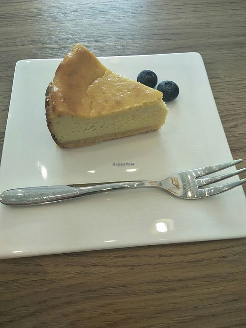 Vegan baked cheesecake. at Knowing Cafe in Shanghai