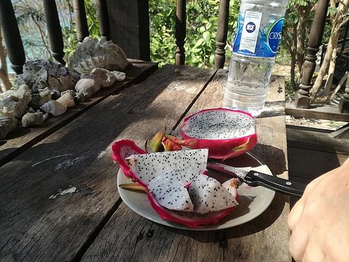 fresh at Noina's Mystic Mountain Restaurant & Bungalows in Koh Samet