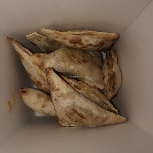 Vegan wontons from the store in MassApequa  at All American Wontons in Massapequa