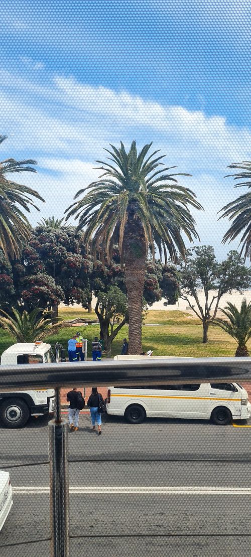 Views from inside at Plant Cafe in Cape Town