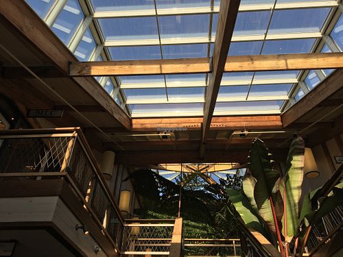 The 'ceiling'!  at Sage Plant Based Bistro & Brewery in Agoura Hills