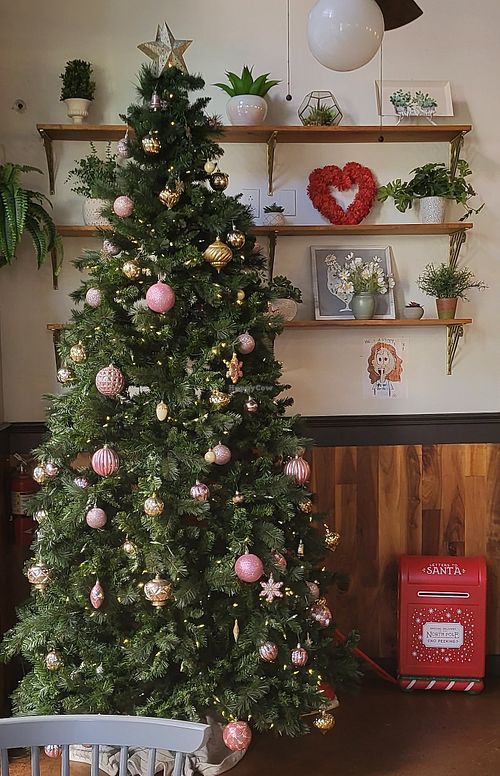 Decorated for Christmas at Vegan Avenue in San Antonio