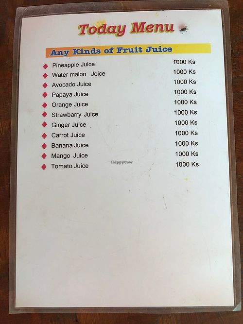 Menu at Ya Ti Organic Food & Garden in Mandalay