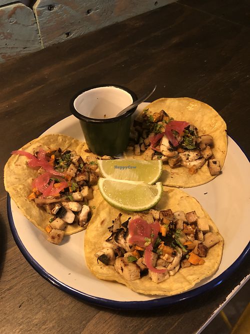 Tofu and mushroom tacos 🌮  at Monchito in Barcelona