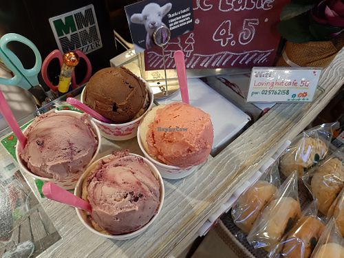 icecream at Loving Hut Cafe in Seoul