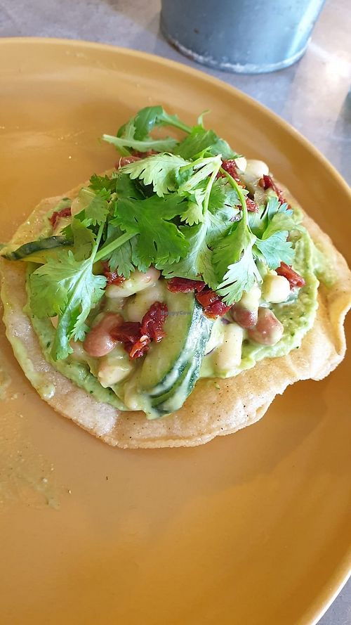 Corn tostada with mixed bean and jalapeño salad in miso dressing. at Curious Yellow Kafe in North London
