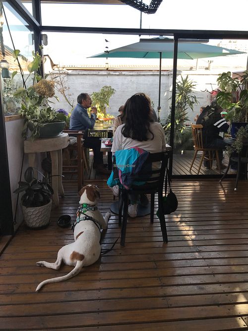 Indoor outdoor seating dog friendly  at Violeta in Santiago