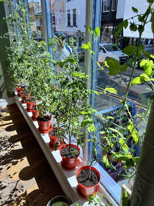   at Love Brew Scarborough in Scarborough