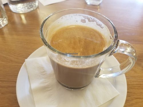 Moka at Hello 123 - Notre-Dame St in Montreal