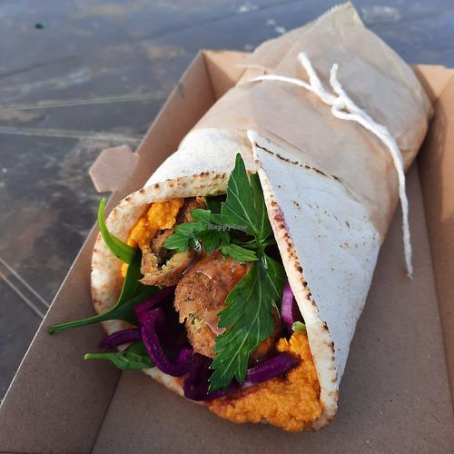 Tasty falafel wrap at Margo's Cafe & Lounge in Babbacombe