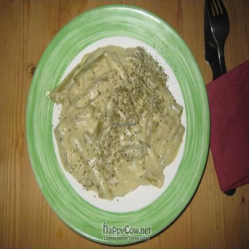 Artichoke cuttings at Birosta in Zaragoza