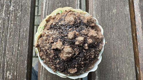   at Galerie in Dortmund